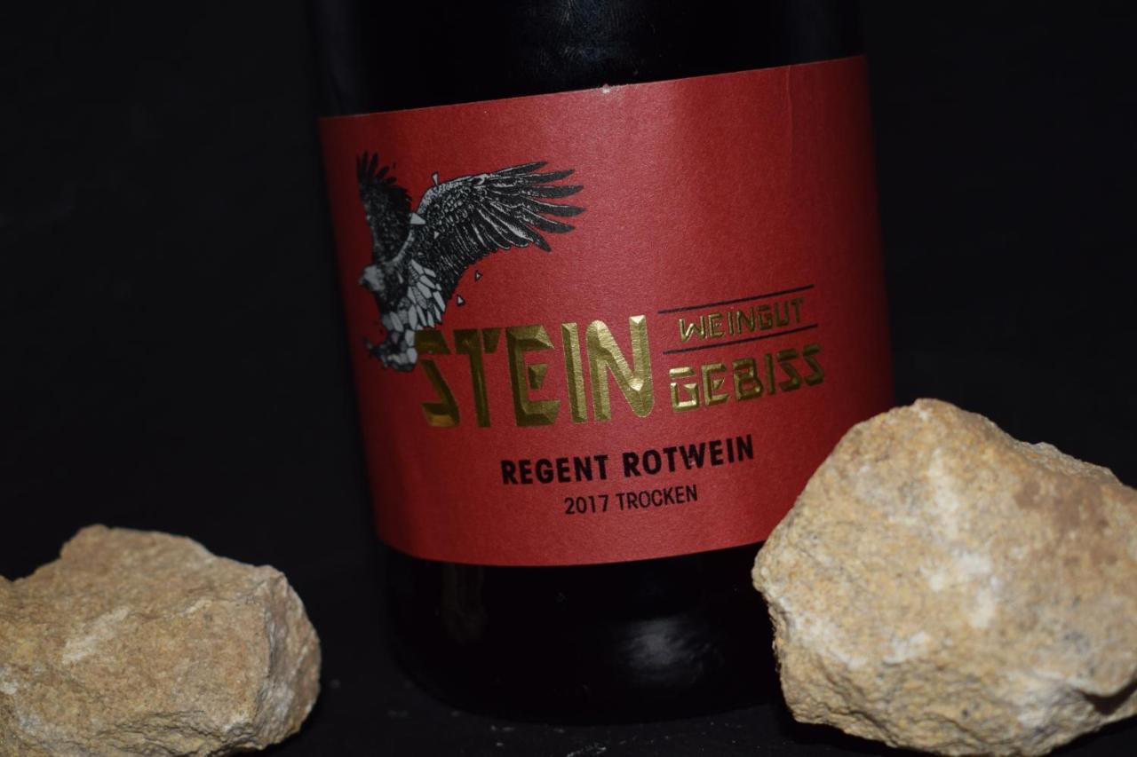 Landhaus Ferienhaus&weingut Am Steingebiss *